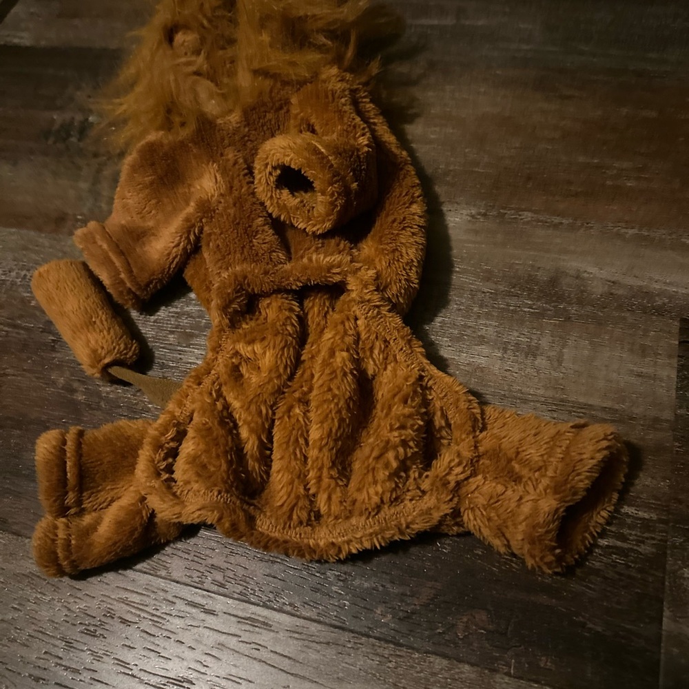 Lion Small Dog Halloween Costume